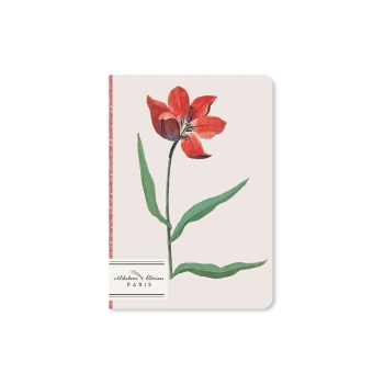 La tulipe rouge