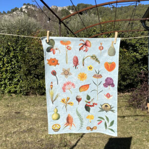 Botanica